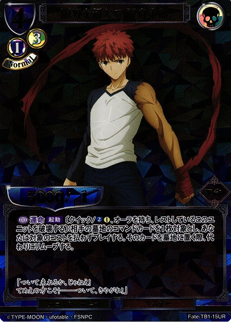 Beyond the Limits Emiya Shirou
