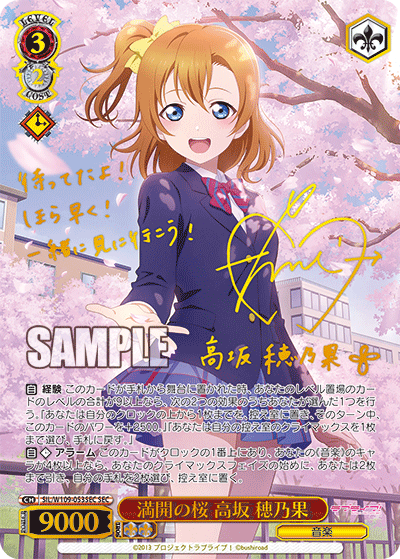 Cherry blossoms in full bloom Honoka Kosaka