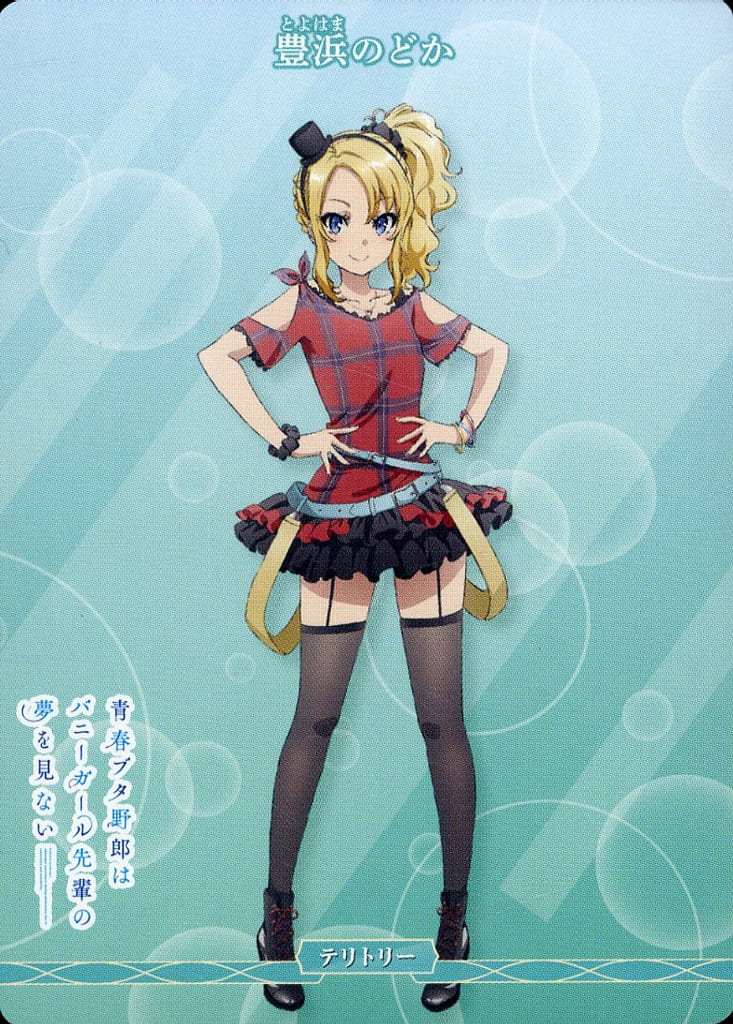 Rascal Does Not Dream of an Outing Sister / Toyohama Nodoka