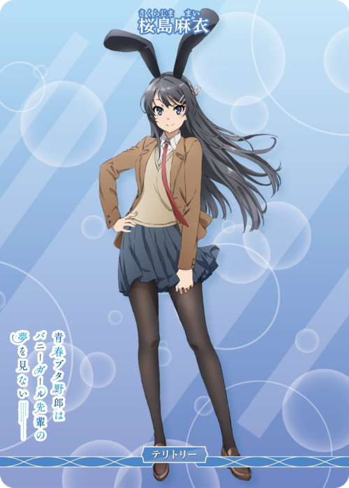 Rascal Does Not Dream of Bunny Girl Senpai / Mai Sakurajima