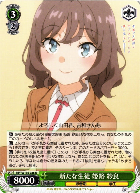 New student: Sara Himeji