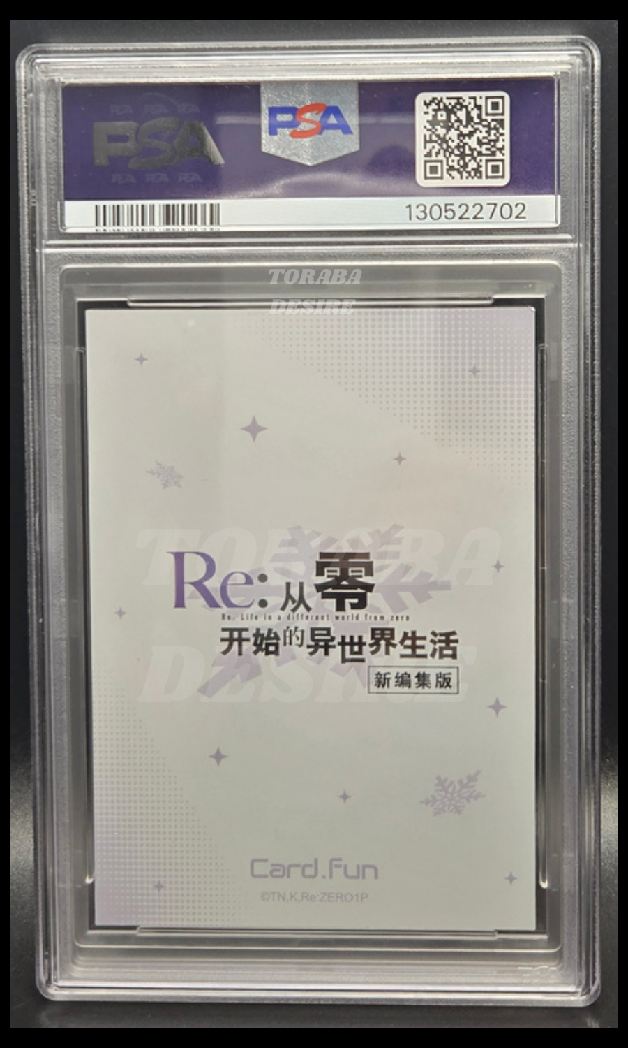 PSA 8 - EMILIA