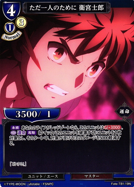 For just one person, Emiya Shirou