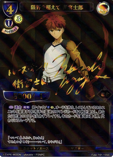 Beyond the Limits Emiya Shirou