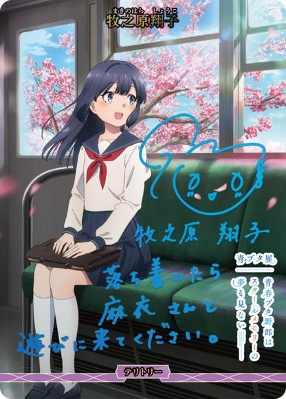 Seishun Buta Yarou Does Not Dream of an Outing Sister / Shoko Makinohara