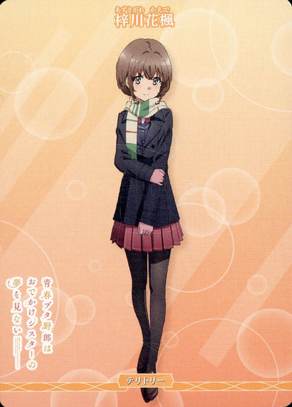 Mysterious Story/Azusagawa Hanakaede