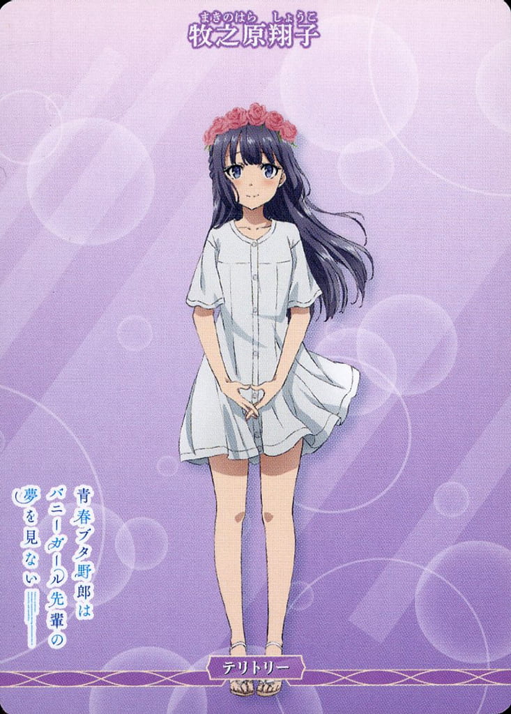 Seishun Buta Yarou Does Not Dream of an Outing Sister / Shoko Makinohara