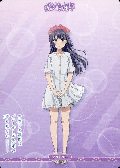 Seishun Buta Yarou Does Not Dream of an Outing Sister / Shoko Makinohara