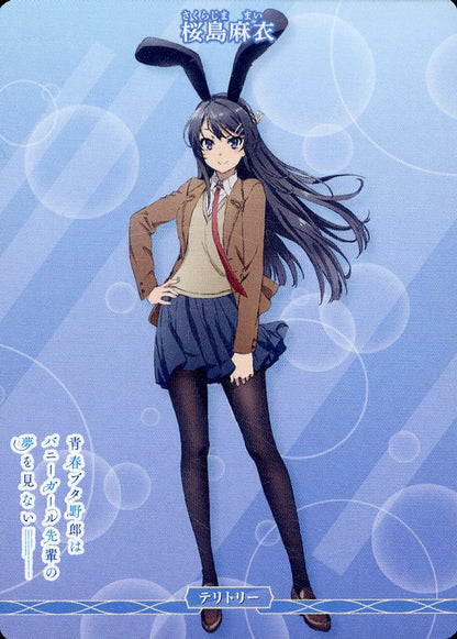 Rascal Does Not Dream of a Schoolbag Girl / Mai Sakurajima