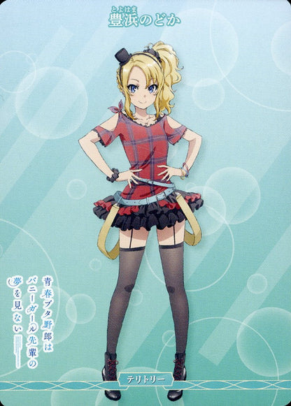 Rascal Does Not Dream of an Outing Sister / Toyohama Nodoka