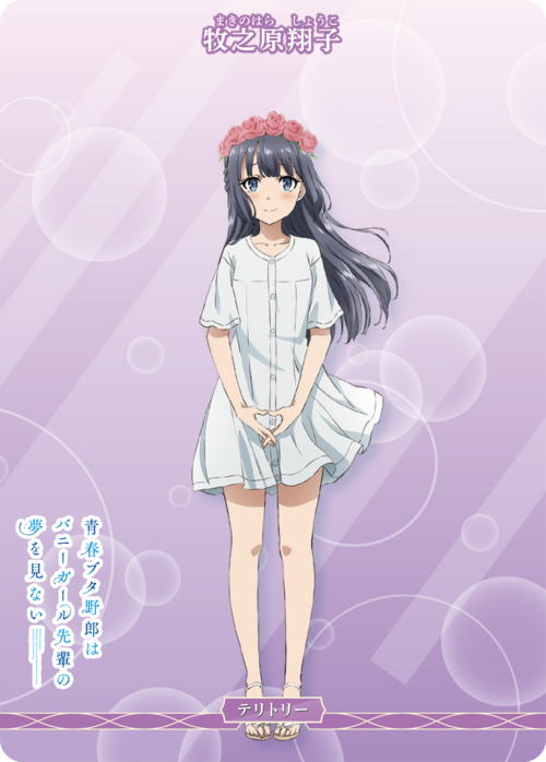 Rascal Does Not Dream of a Dreaming Girl/Shoko Makinohara