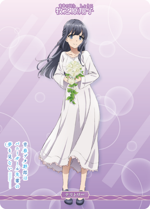 Seishun Buta Yarou Does Not Dream of an Outing Sister / Shoko Makinohara