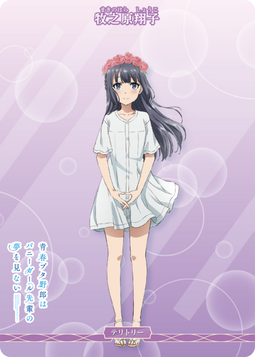 Mysterious Story/Shoko Makinohara