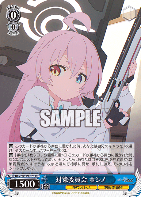 Countermeasures Committee Hoshino