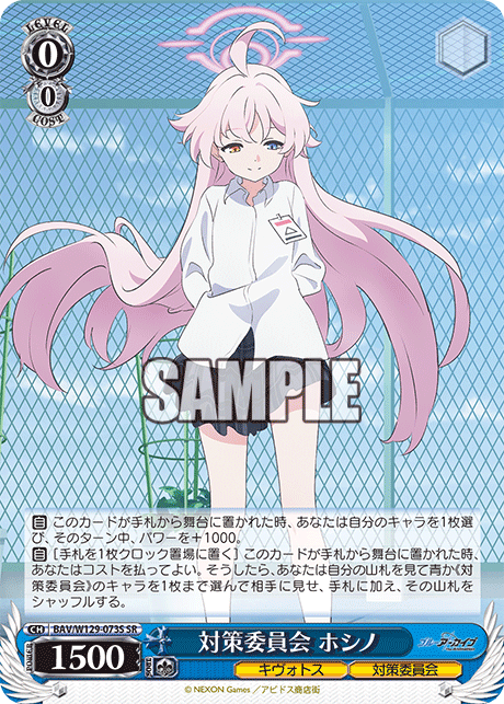 Countermeasures Committee Hoshino