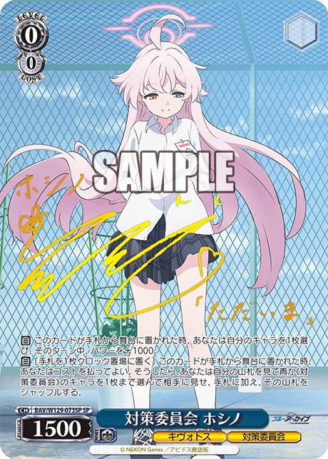 Countermeasures Committee Hoshino