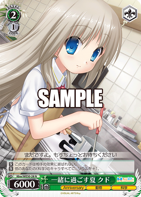 A summer spent together Kud