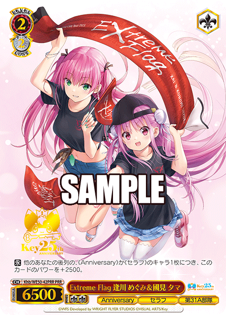 Extreme Flag Megumi Aikawa & Tama Kunimi