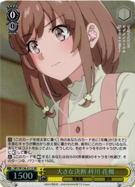 A Big Decision - Hanae Azusagawa