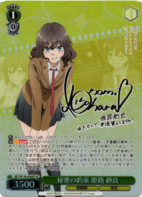 A Secret Promise - Sara Himeji