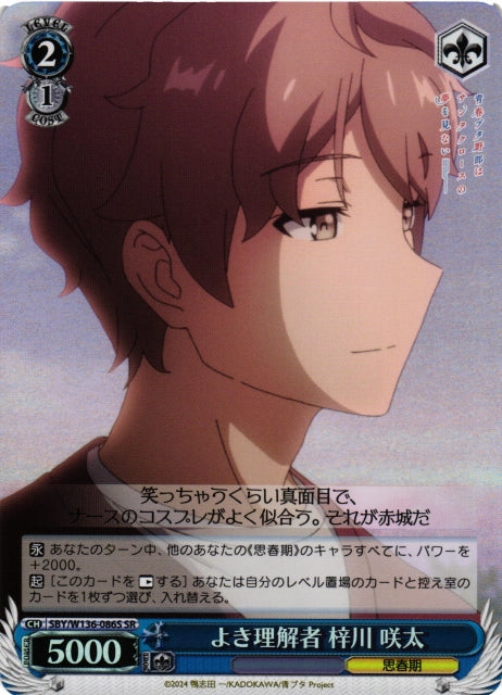 A good confidant, Sakuta Azusagawa