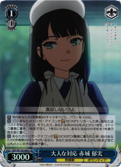 A mature response from Ikumi Akagi