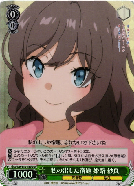 Homework I assigned - Sara Himeji