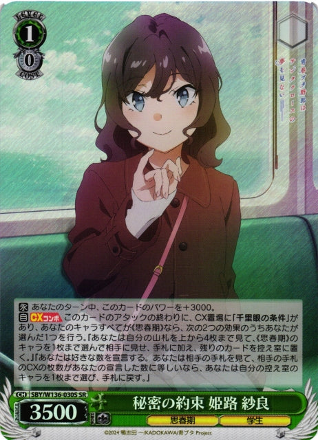A Secret Promise - Sara Himeji