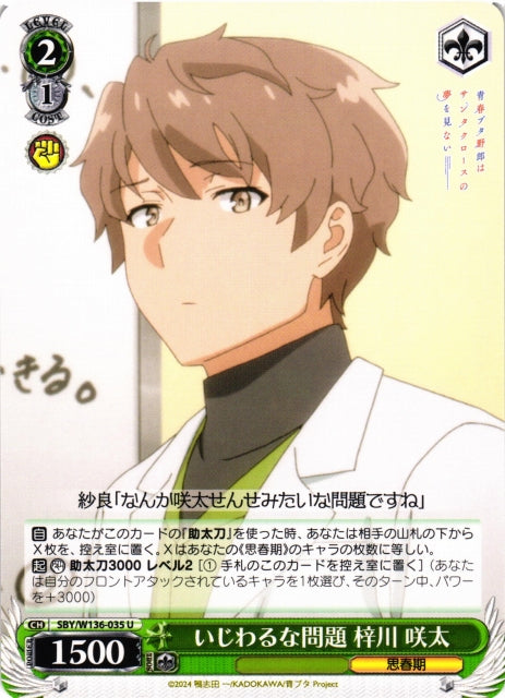A Nasty Problem - Sakuta Azusagawa