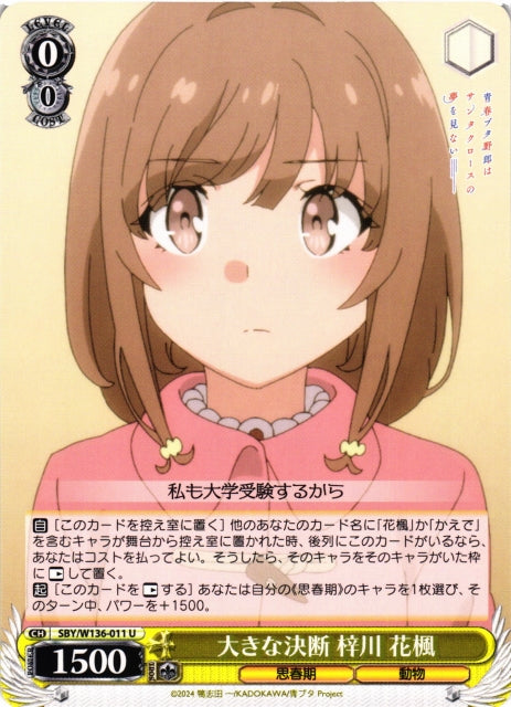 A Big Decision - Hanae Azusagawa