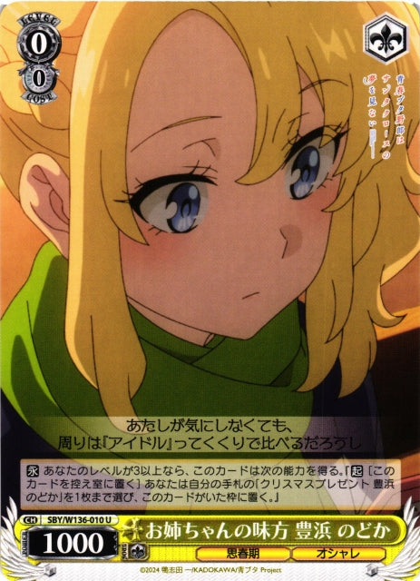 Big Sister's Ally, Toyohama Nodoka
