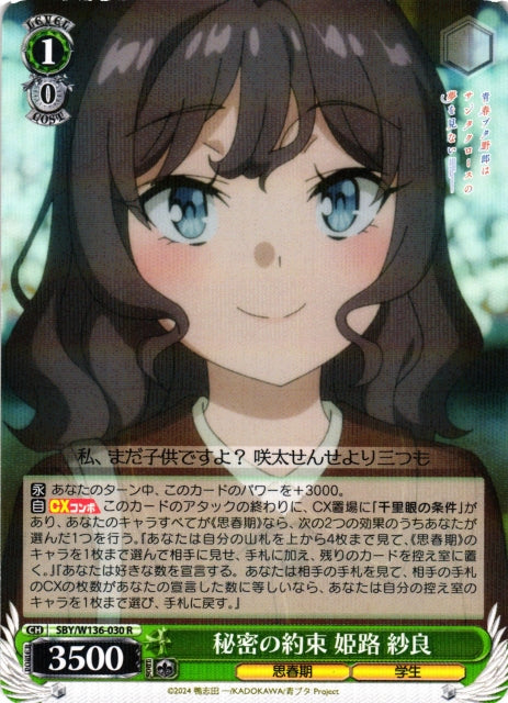 A Secret Promise - Sara Himeji