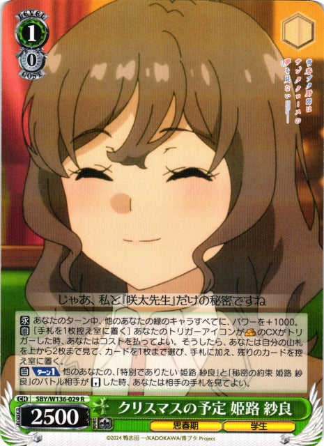 Christmas plans - Sara Himeji