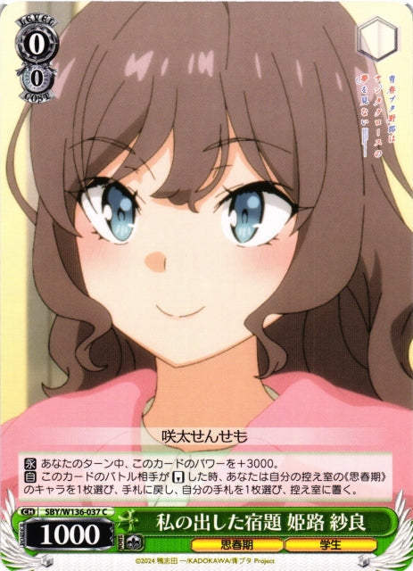 Homework I assigned - Sara Himeji