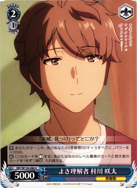 A good confidant, Sakuta Azusagawa