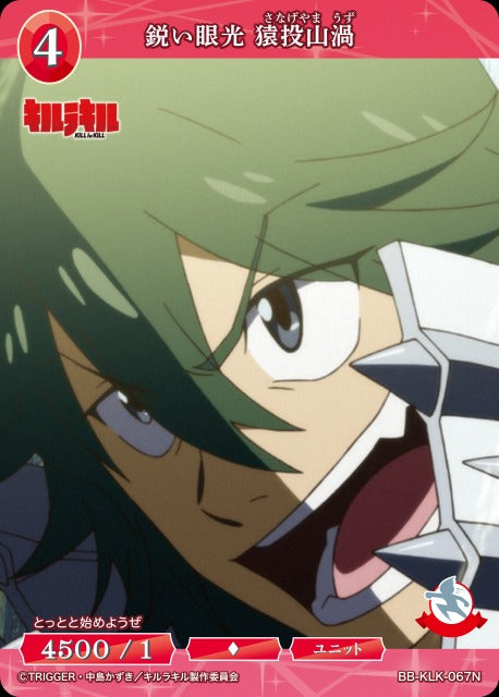 鋭い眼光 猿投山渦