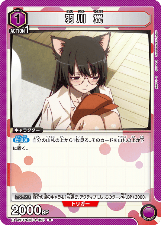 Tsubasa Hanekawa