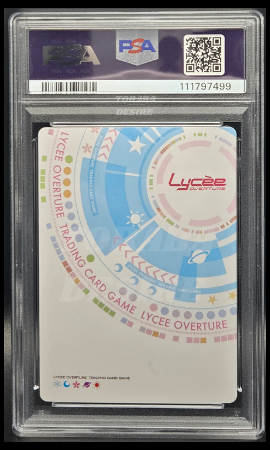 PSA 10 - Mashiro Kuryu